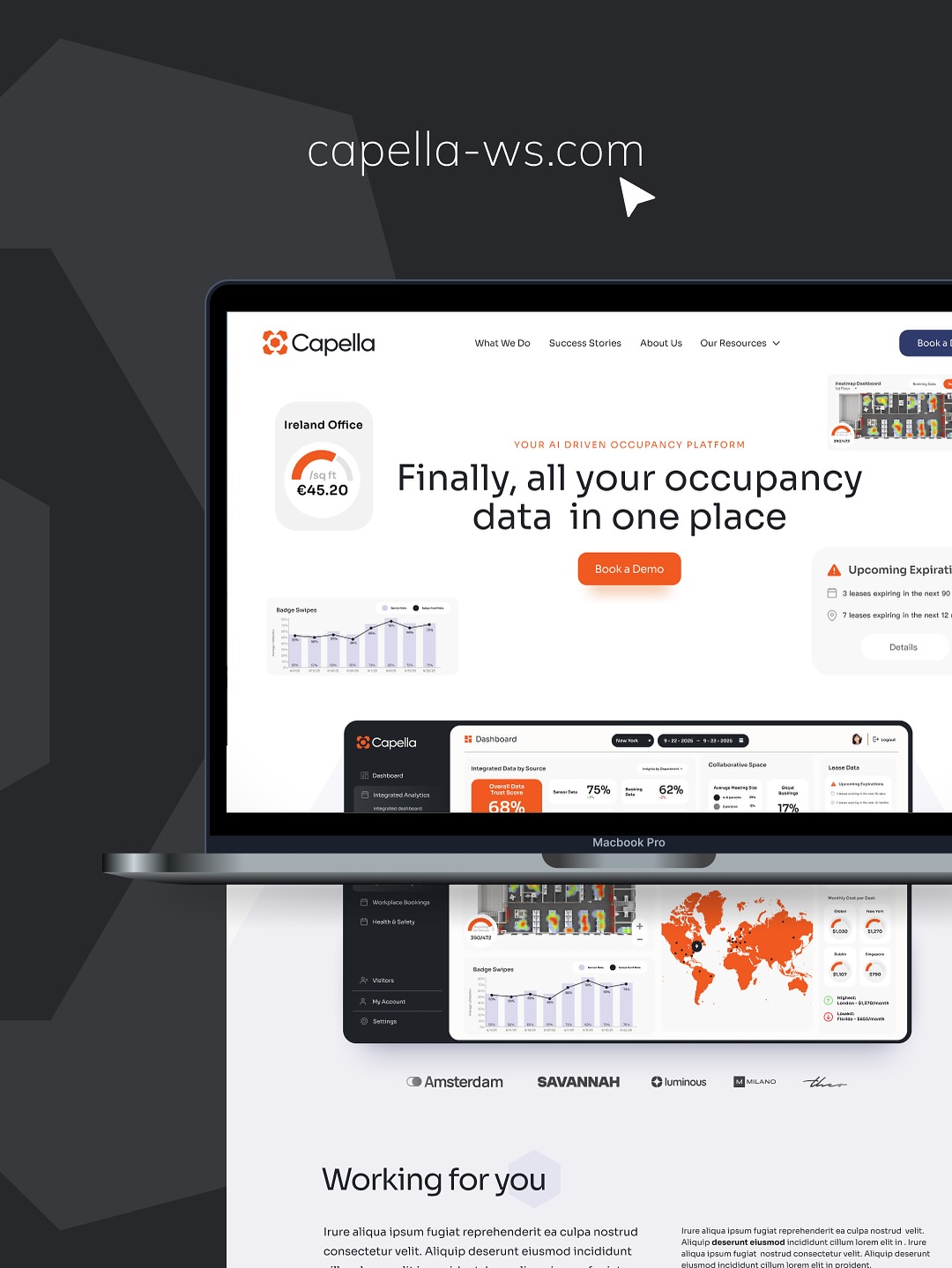 The new Capella brand and website, built to do justice to the product and the markets it serves.
