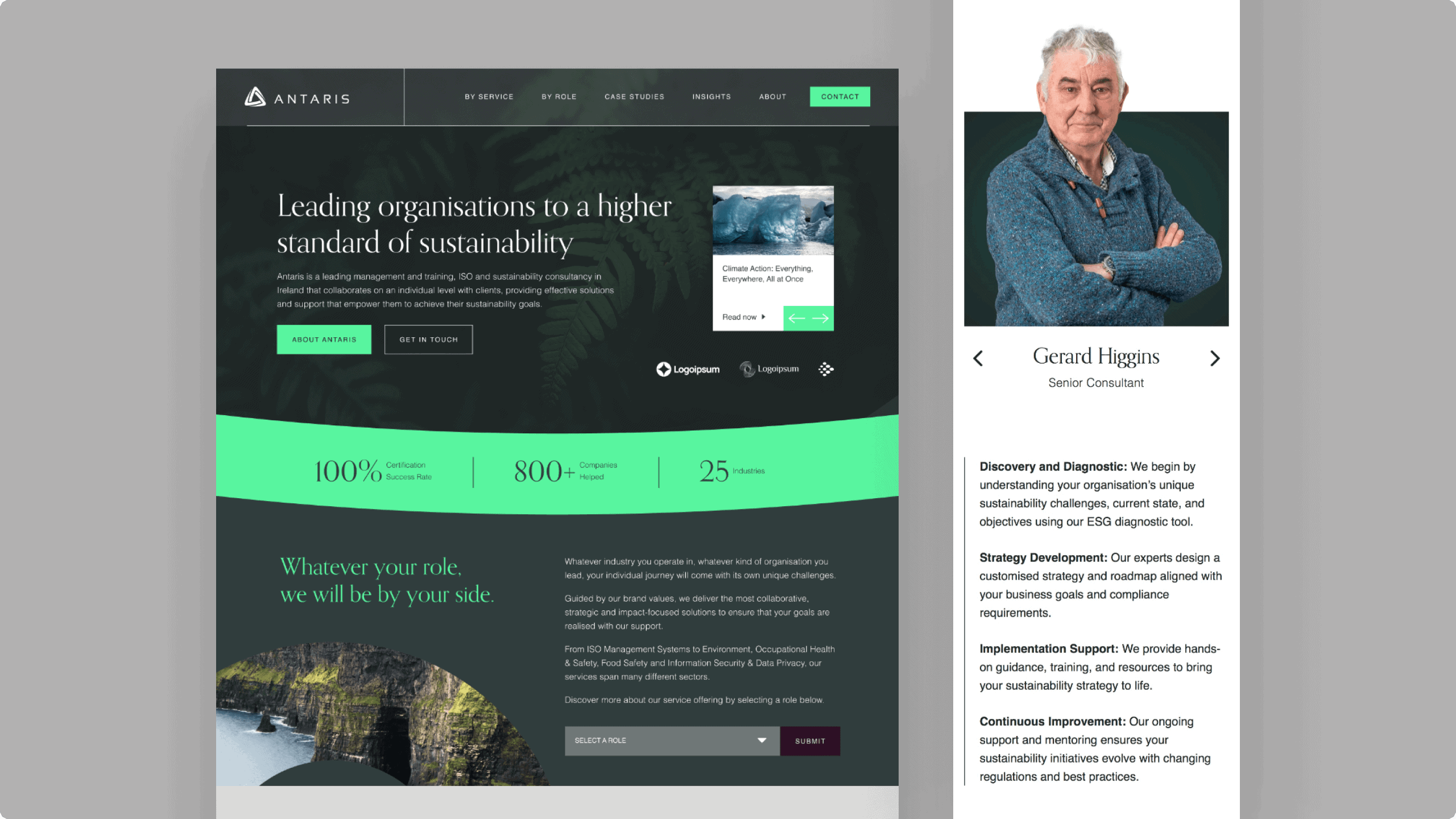 Antaris Consulting project visual
