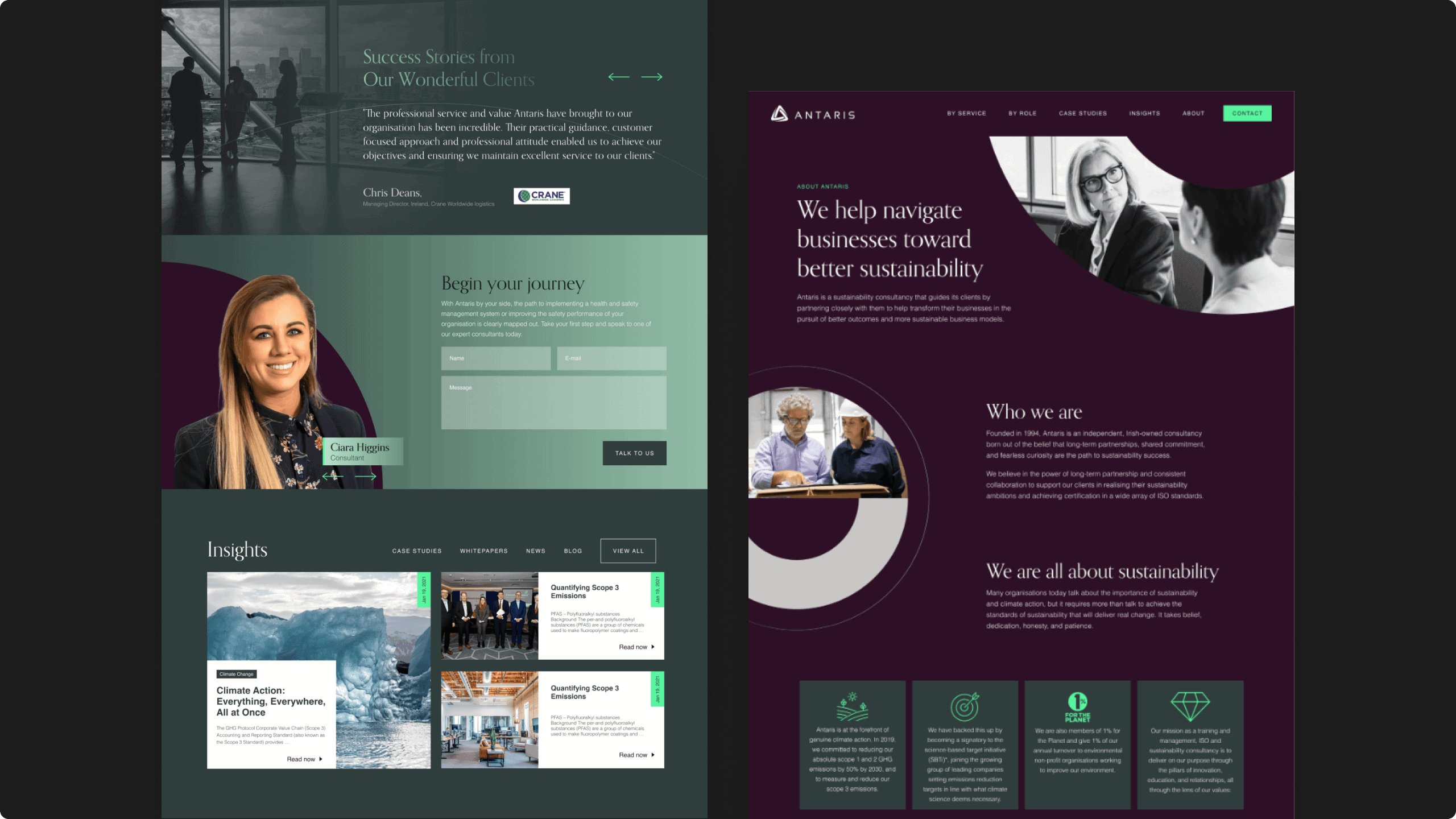 Antaris Consulting project visual