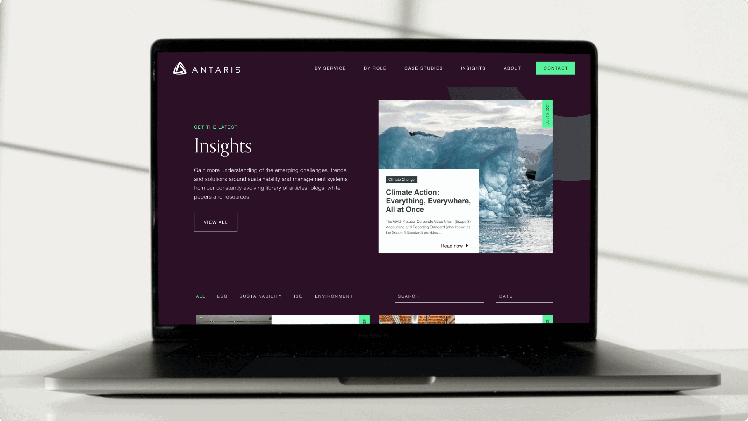 Antaris Consulting project visual 1