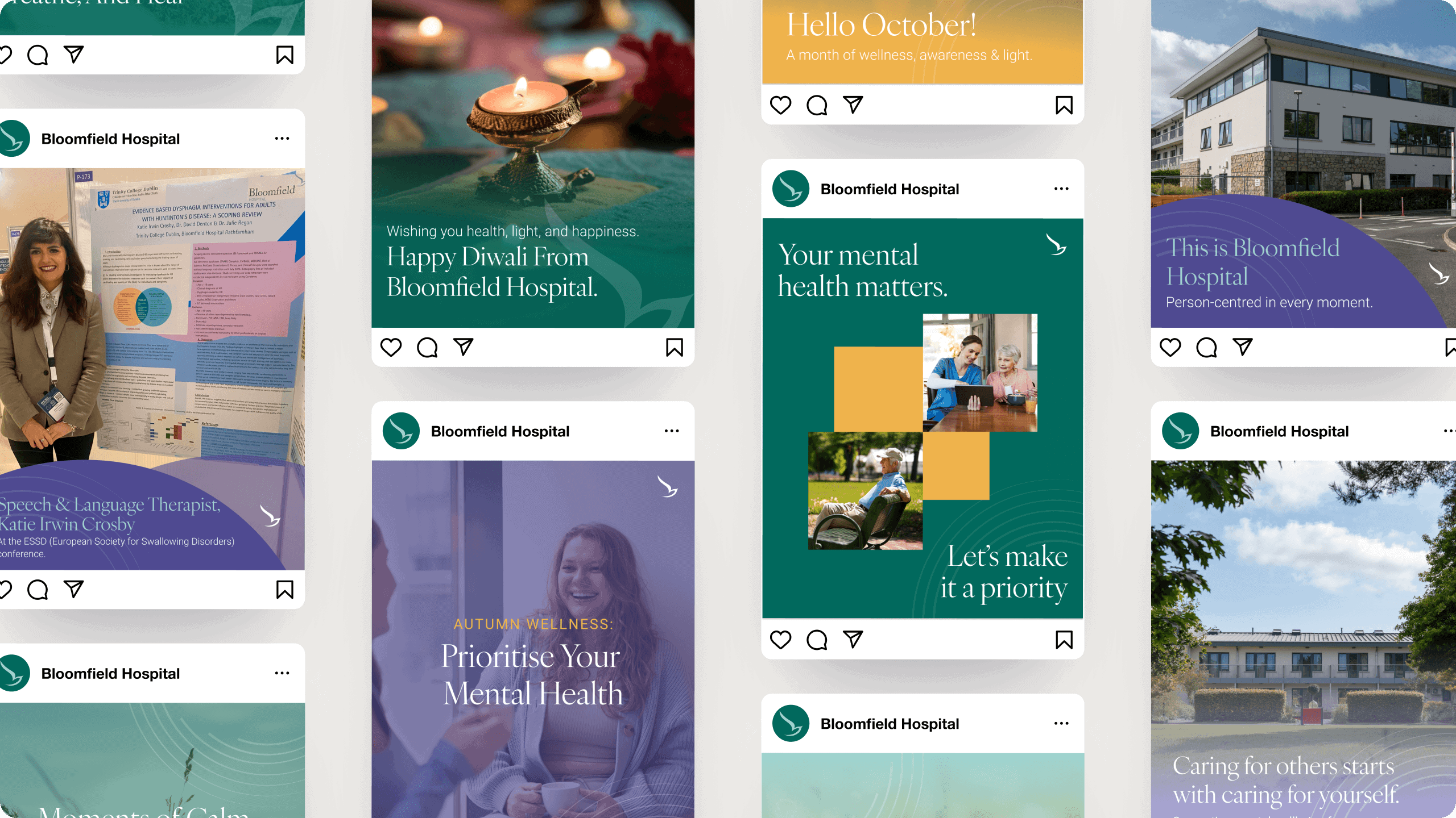 Bloomfield Health Services project visual