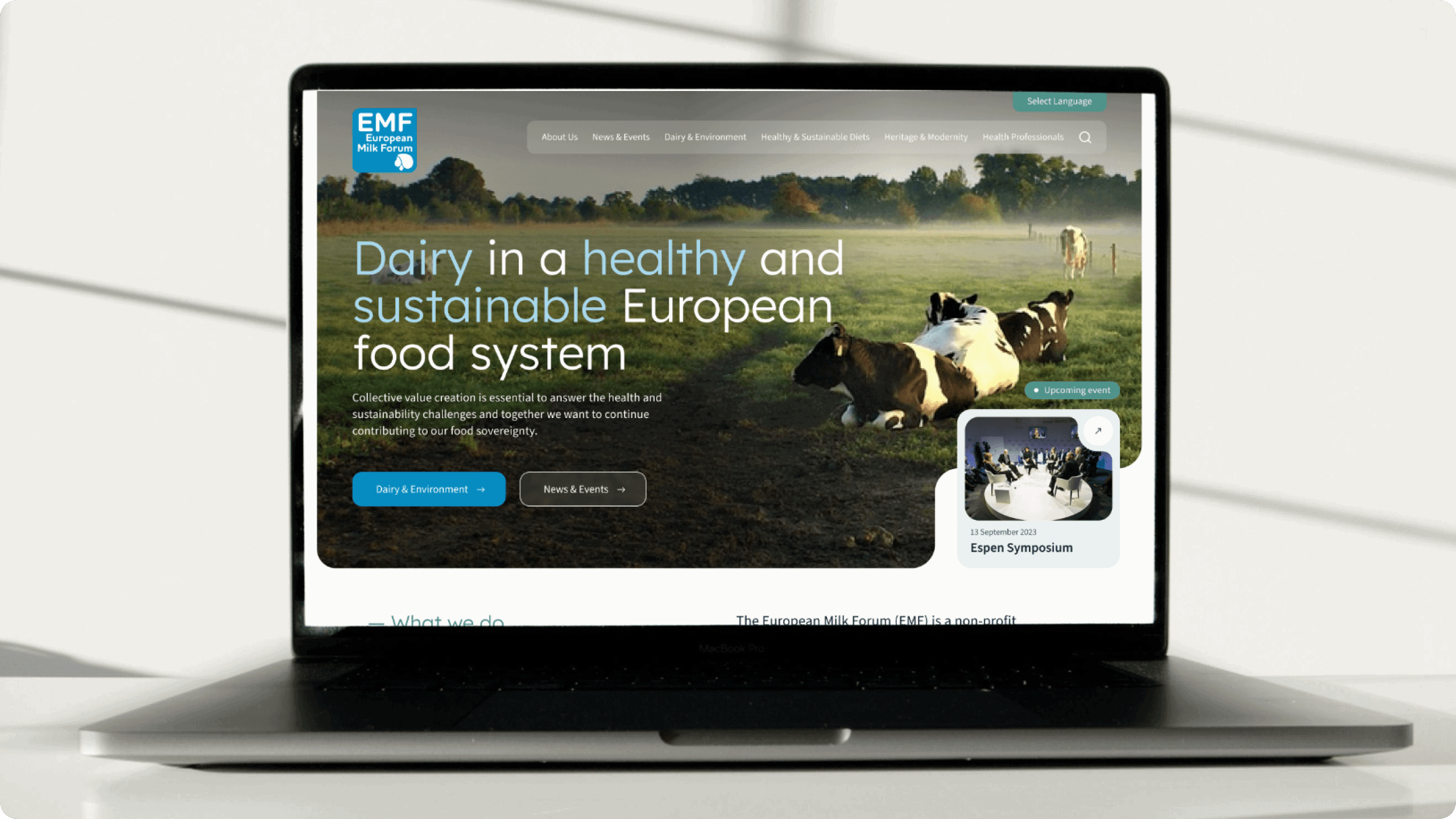 European Milk Forum project visual
